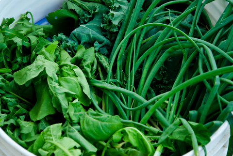 Food Focus: Leafy Greens